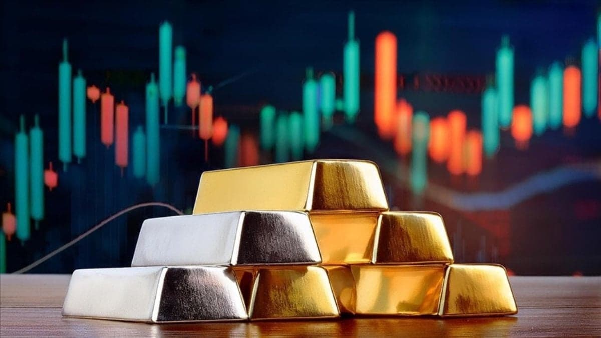 Altın ve Gümüş Fırtınası: Türk Milletinin Değer Hazineleri