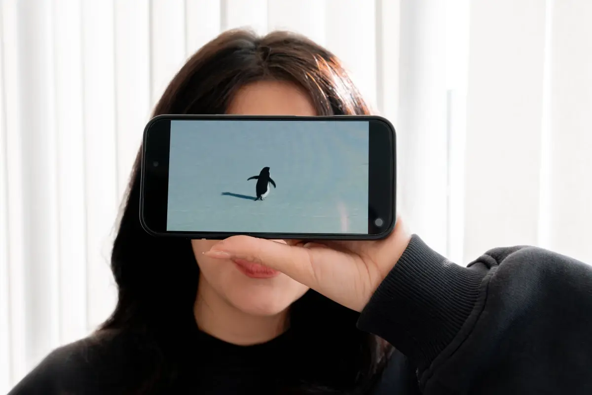 Batı Medeniyetinin Ruh Çöküntüsü: Nihilist Penguen Fenomeni